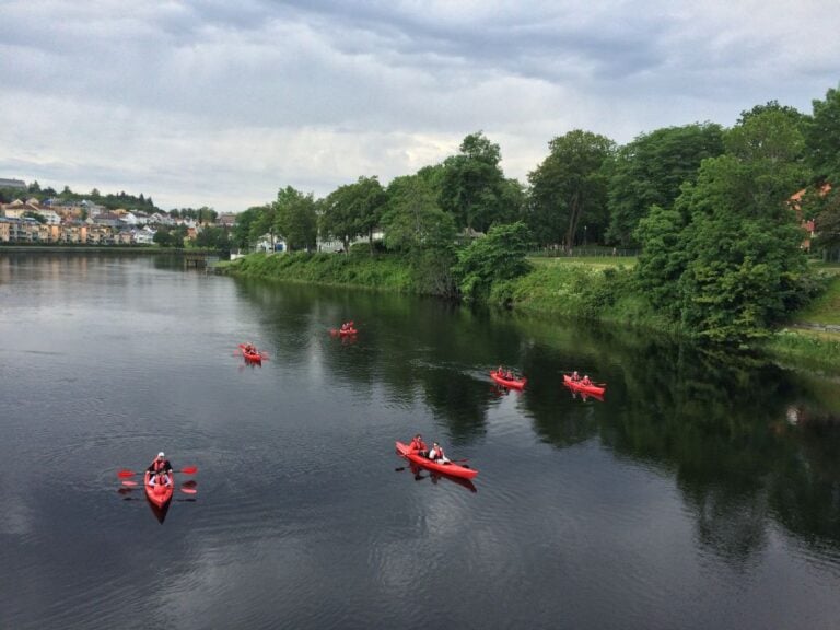 Kayaks dans la rivière Trondheim.  Photo : David Nikel.