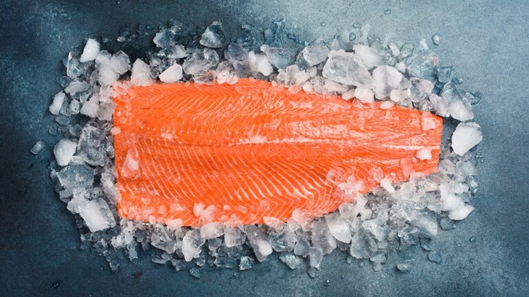 Saumon sur la glace