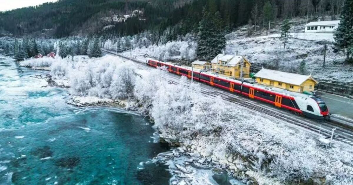 Le magnifique voyage en train européen à travers des forêts et des montagnes enneigées