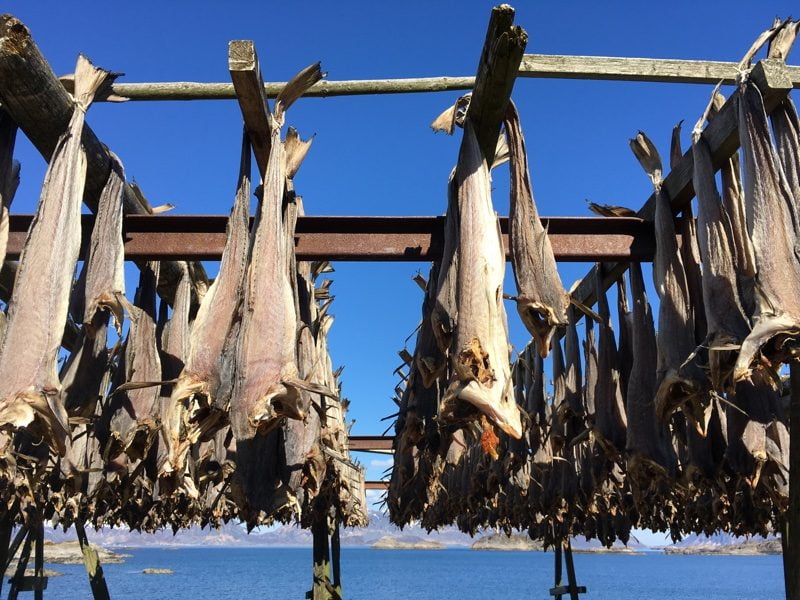 Casiers de séchage de poisson