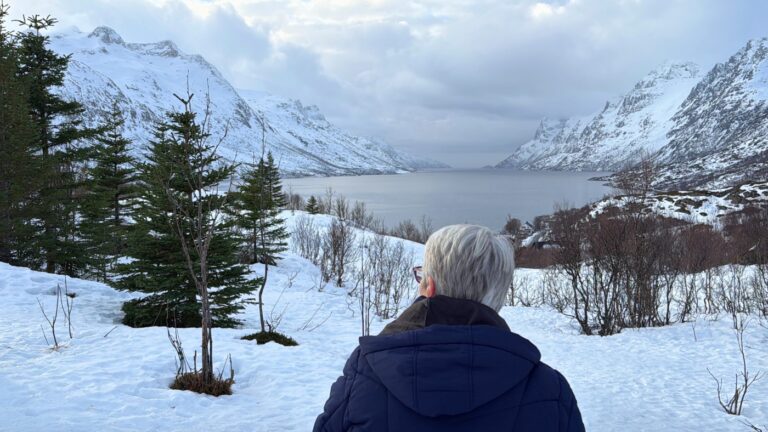 La superbe vue hivernale depuis Ersfjordbotn, dans le nord de la Norvège. Photo : David Nikel.