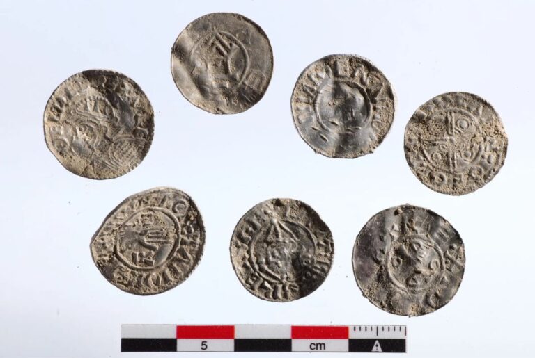 Pièces d'argent de l'ère viking avec échelle au Musée d'histoire culturelle d'Oslo, en Norvège. Photo : Florent Audy / Musée d'Histoire culturelle.