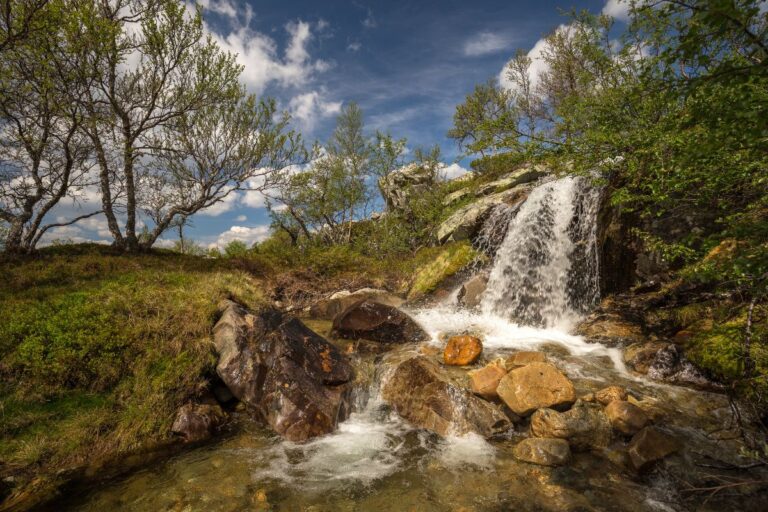 Sentier de randonnée Elgåhogna dans le parc national de Femundsmarka.