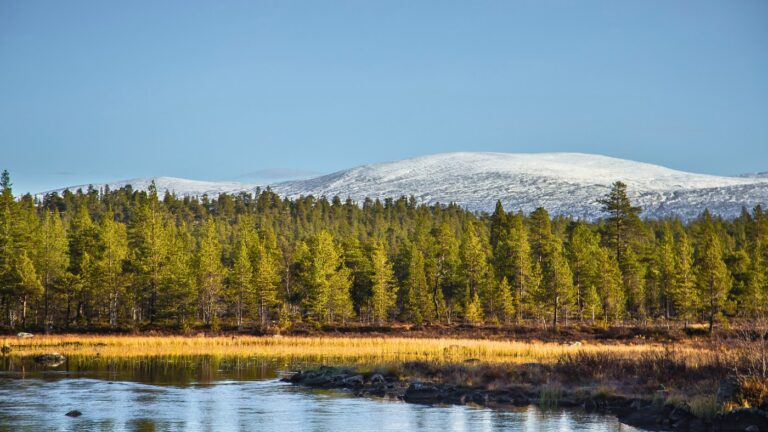 Vues sur le lac, la forêt et les montagnes du parc national de Femundsmarka, en Norvège.