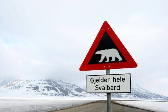 Signe d'ours polaire à Longyearbyen Signe d'ours polaire à Longyearbyen