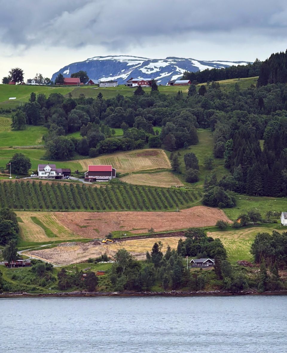 Navigation devant les maisons au bord du fjord en Norvège. Photo : David Nikel.