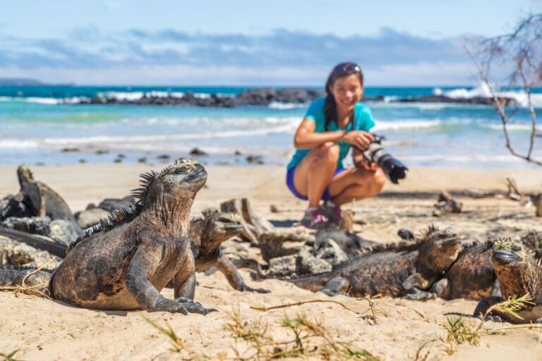 Photographe observant un iguane marin dans les îles Galápagos.
