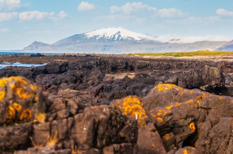 Paysage volcanique avec fond de montagne du glacier Snæfellsjökull sur la péninsule islandaise de Snæfellsnes.